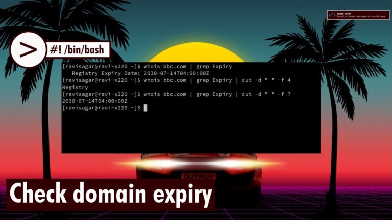 Domain Expiry Date Checker - Find Renewal Timelines